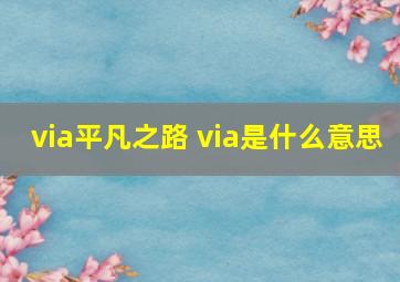 via平凡之路 via是什么意思